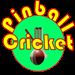 Cricket Twenty20: Pinball Challenge