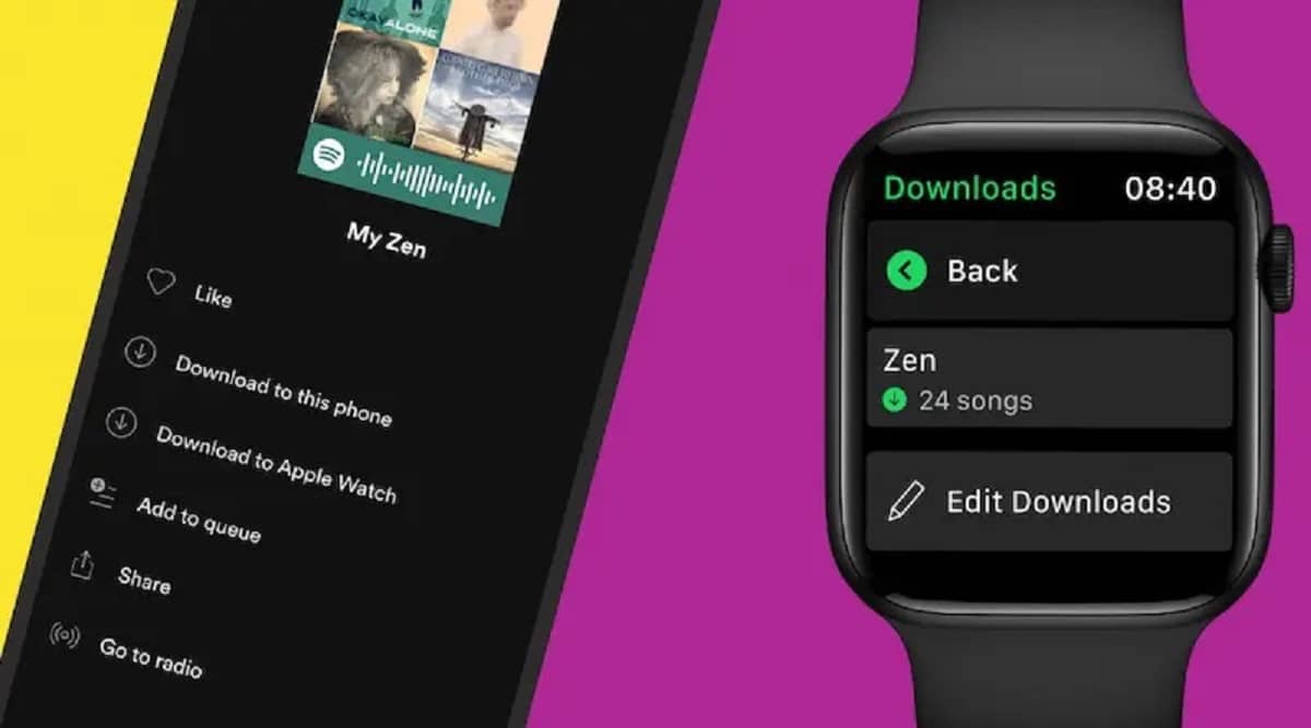 Download Spotify songs on Apple Watch