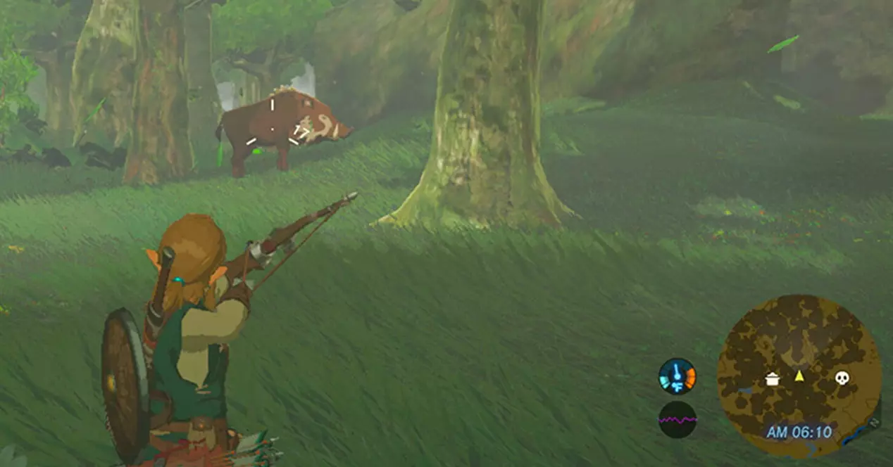 Zelda Breath of the wild