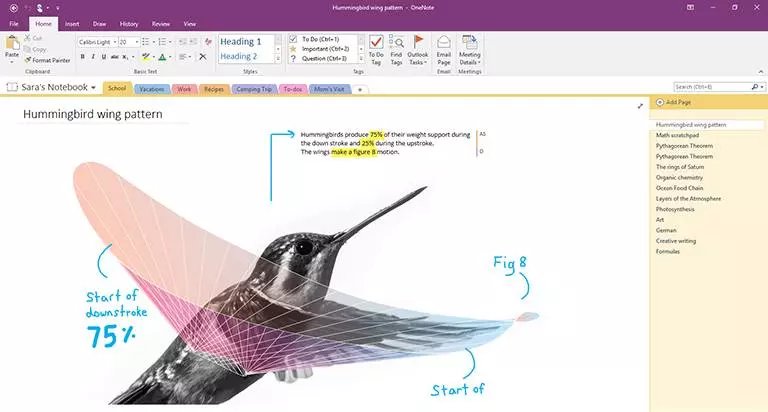 OneNote for Office