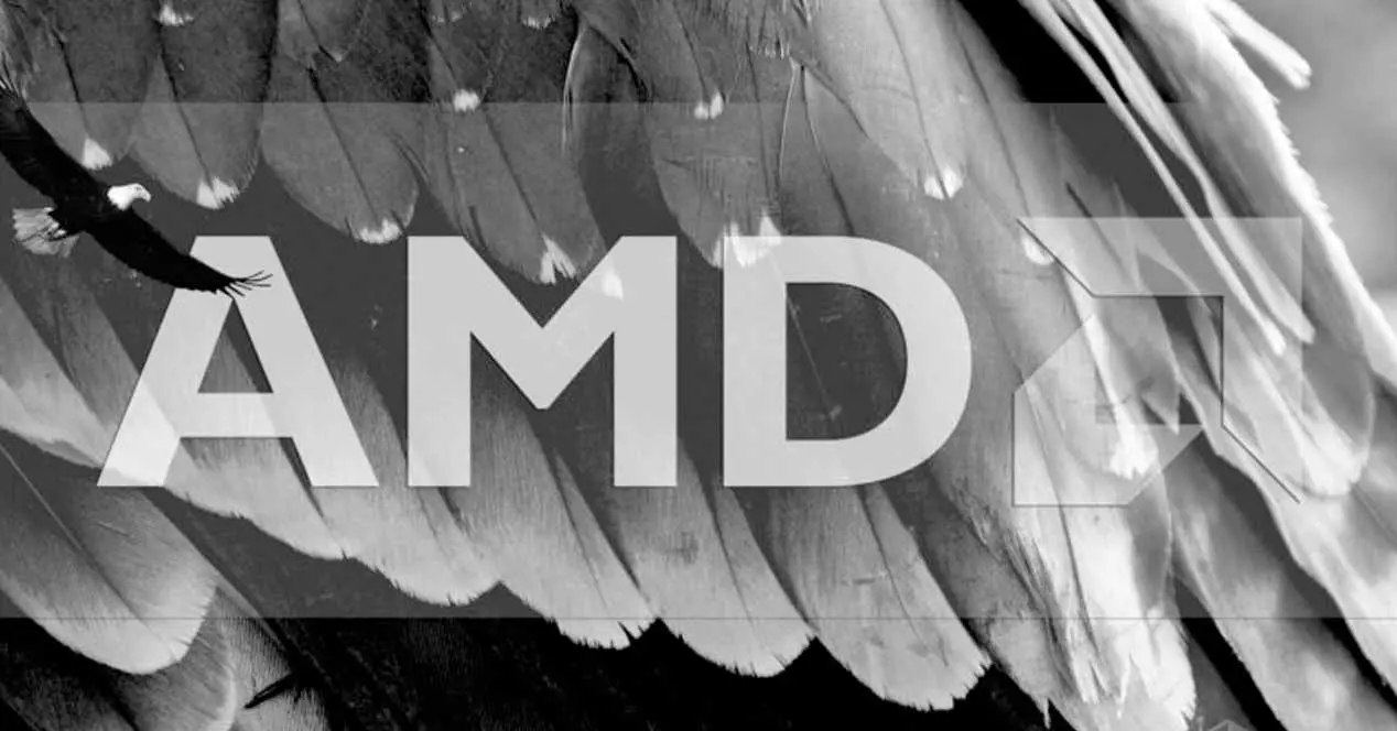AMD Zen 4 Raphael