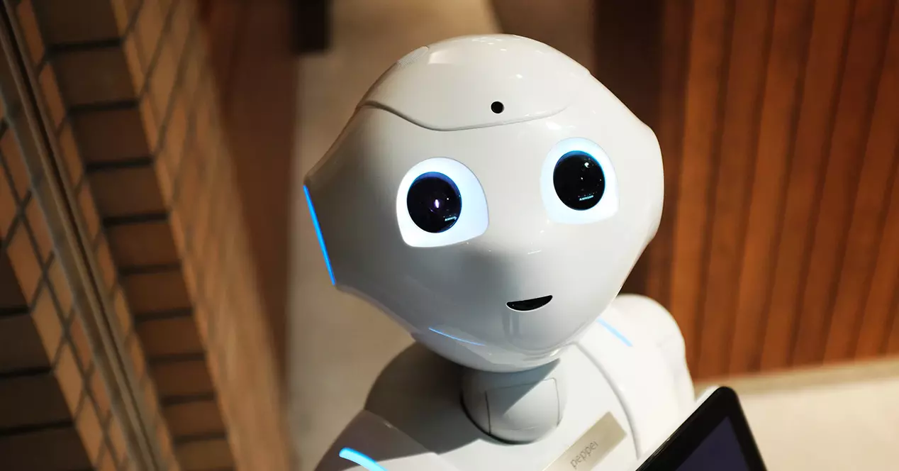 Amazon robot echo