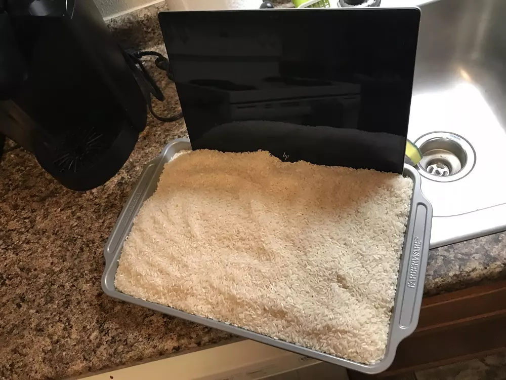 Portable rice