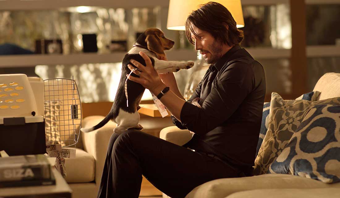 John Wick 4: A funny video announces the least funny release date slip