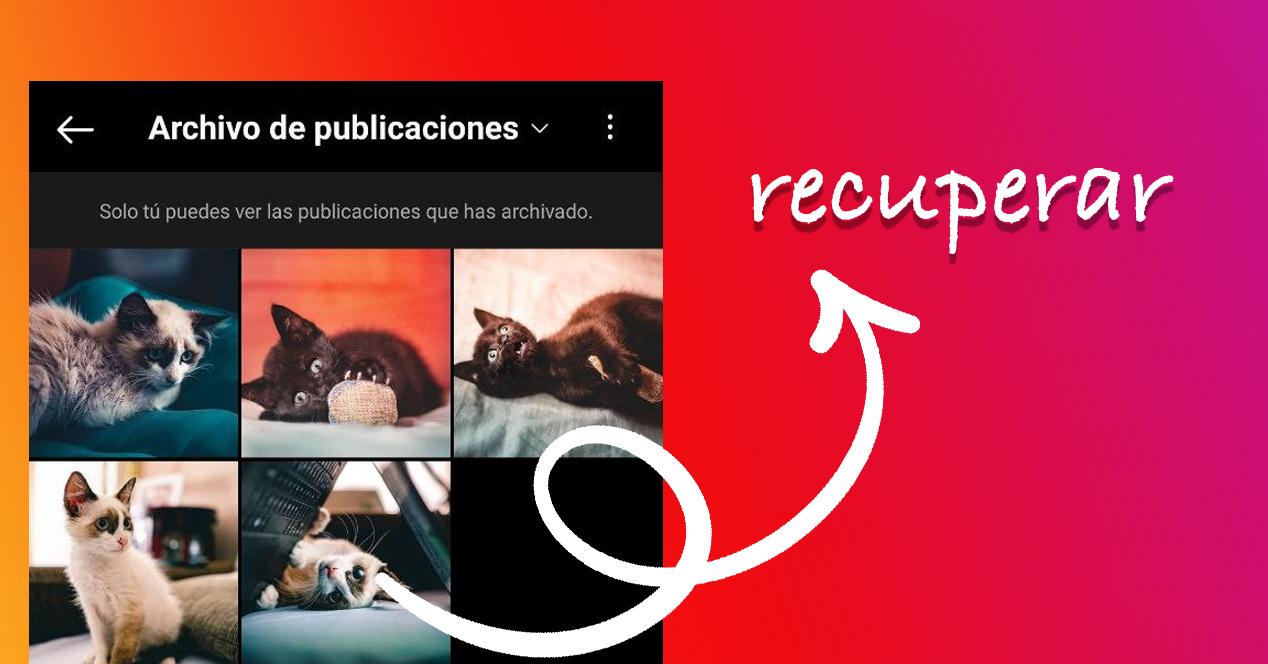recover archived instagram photos.