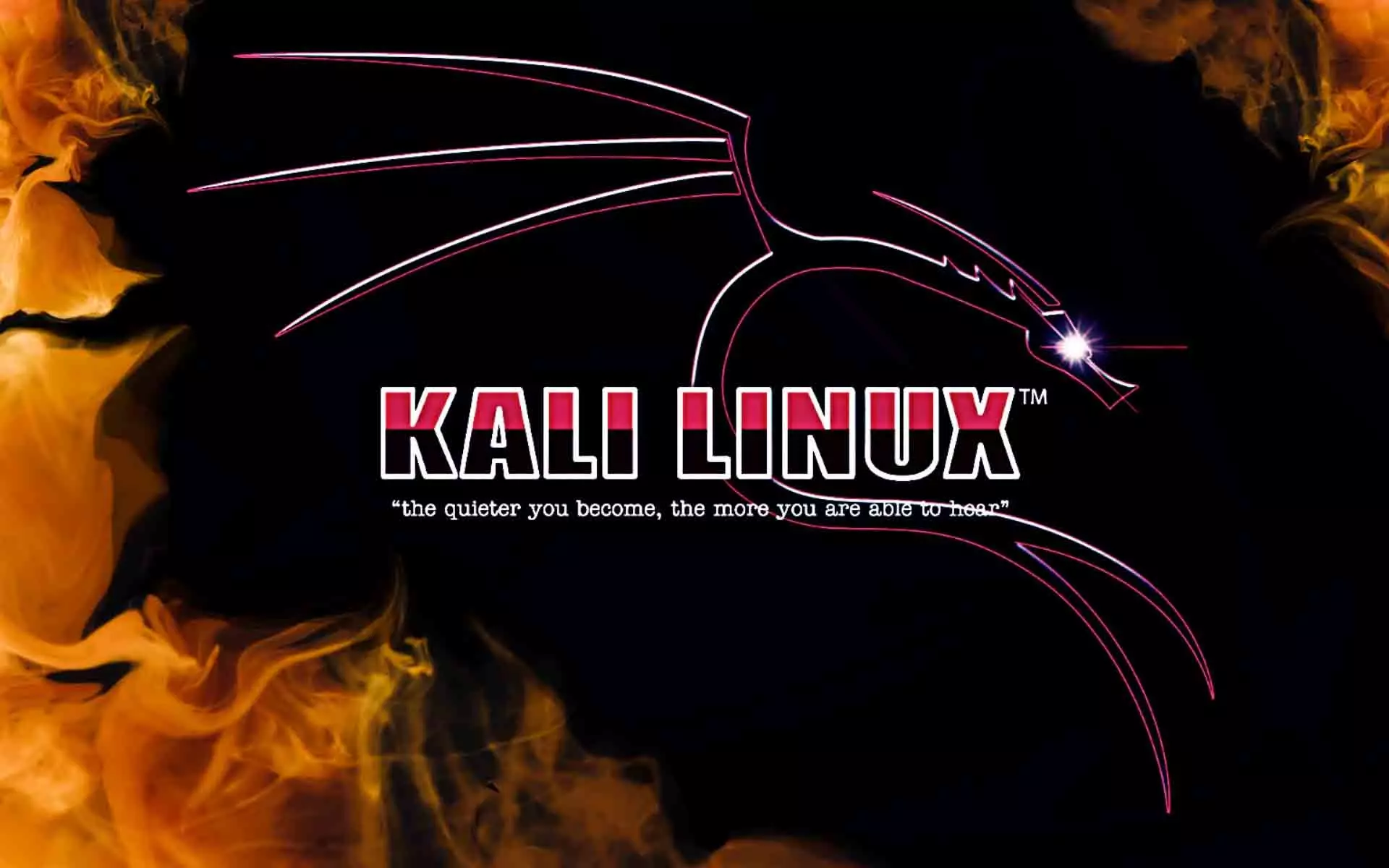 Get to know what's new in Kali Linux 