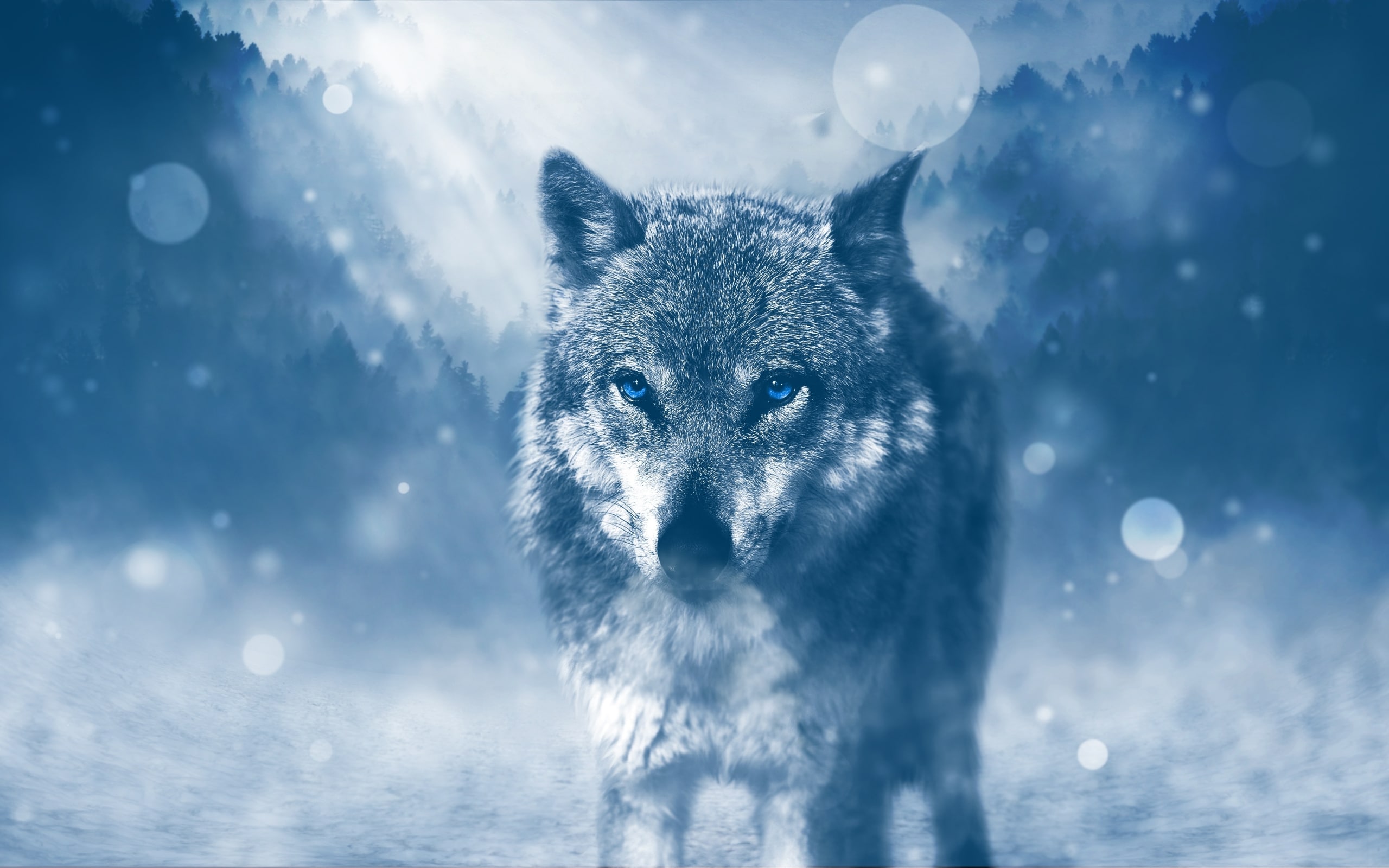 blue Wolf
