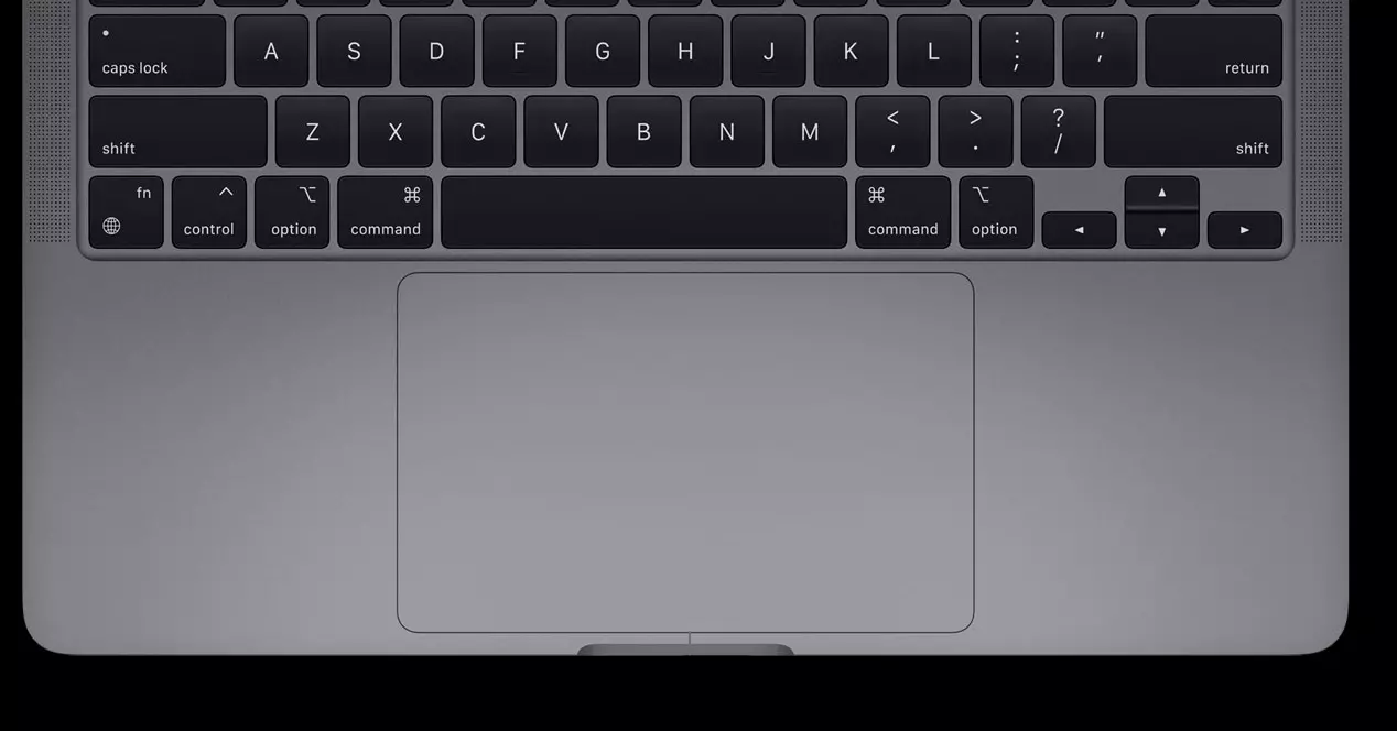 bugs problems trackpad macbook