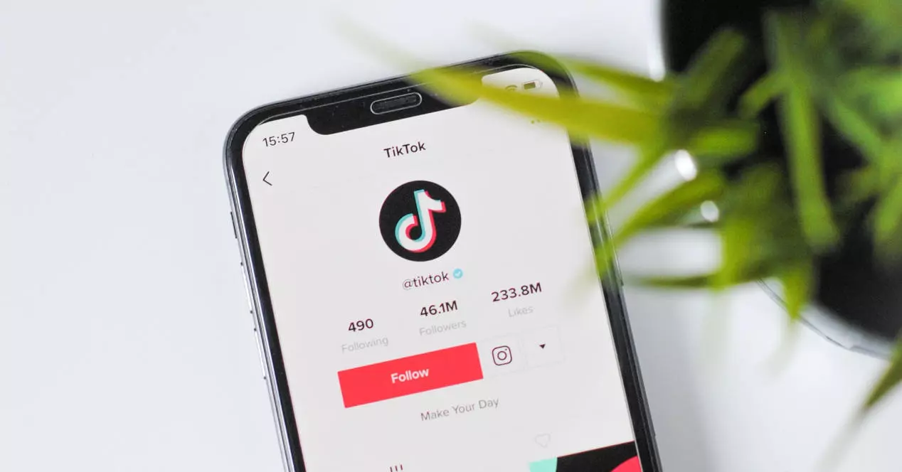 Sign out of TikTok to fix issues