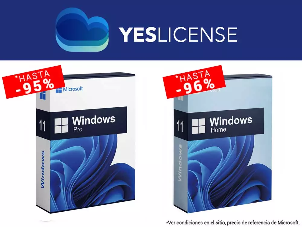Windows and Office license