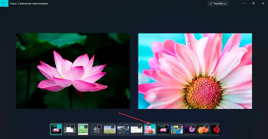 Photos app in Windows 11 compare images