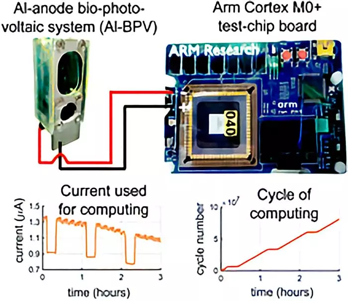 Pc-processor-arm-cortex-m0+-algae