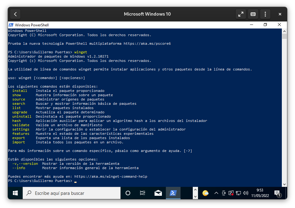 Windows Package Manager (WinGet) running on Windows 10