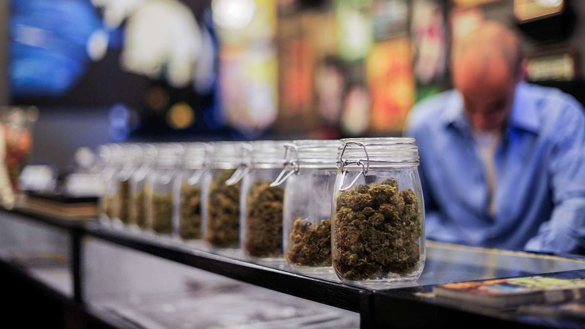 5 Best Marijuana Dispensaries to Check Out in Denver, CO