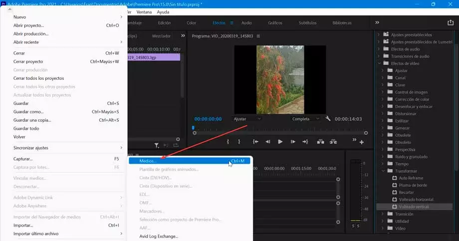 Premiere Pro export and media