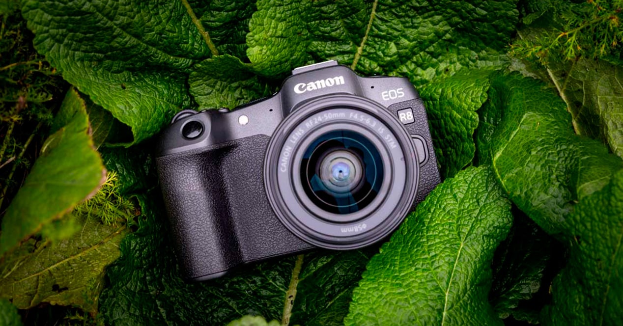 Canon EOS-R8