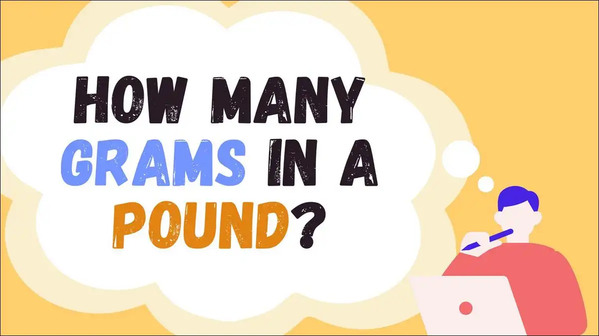 How Many Grams In A Pound