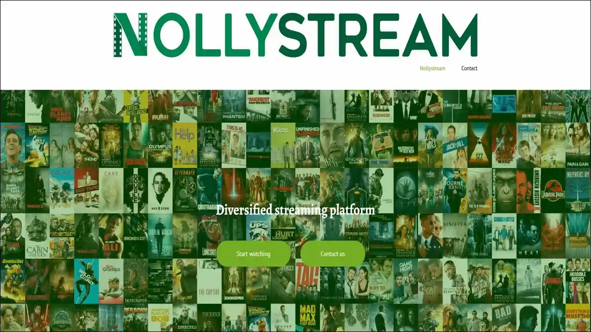 NollyStream is bringing Nigerian cinema to a global audience