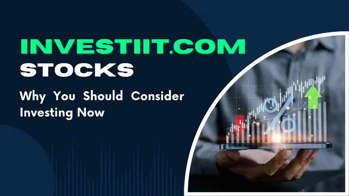 Investiit.com Stocks