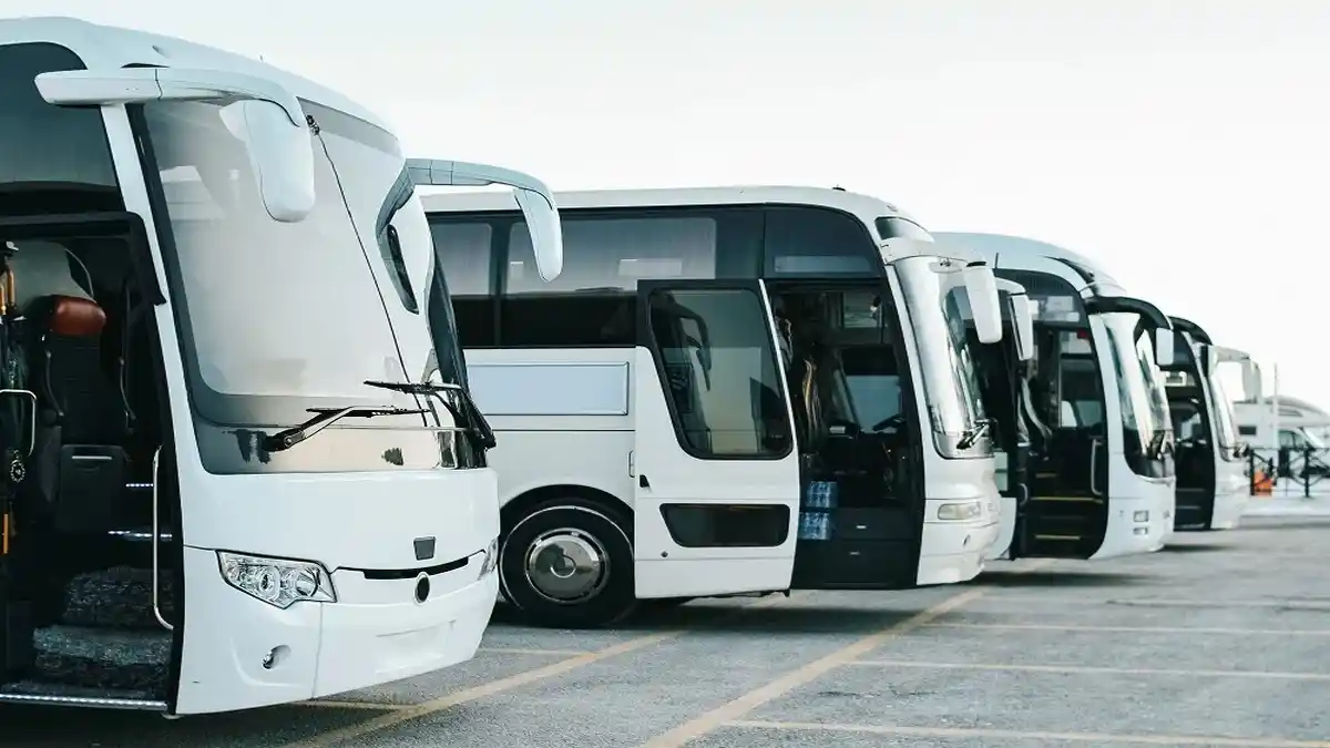 Bus Companies