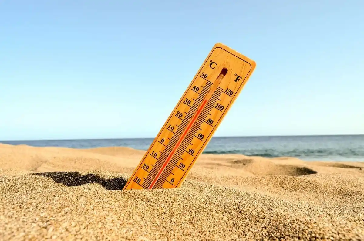 Summer Heatwave Survival